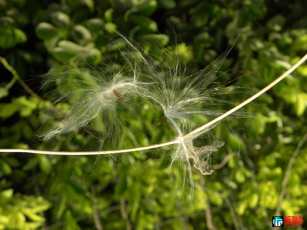 DSCN2609_.jpg