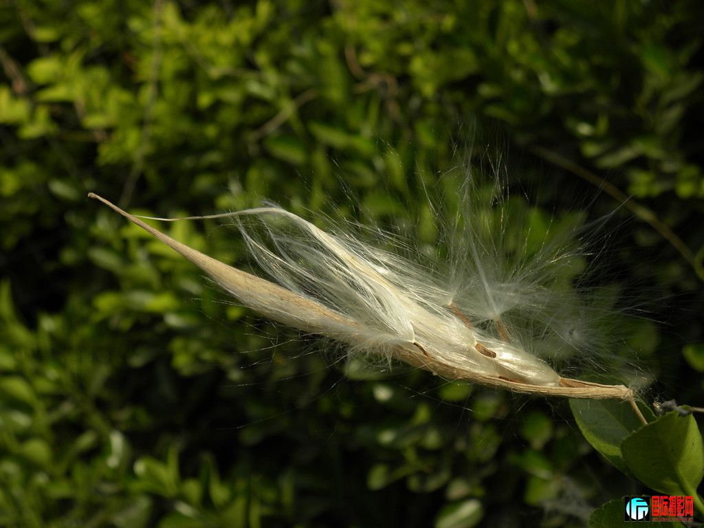 DSCN2627_.jpg