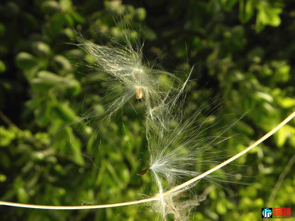 DSCN2610_.jpg