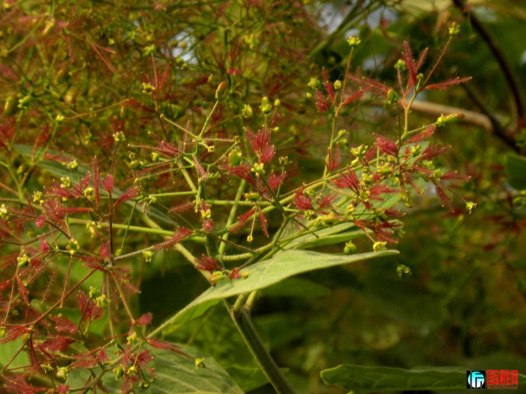 DSCN2554_.jpg