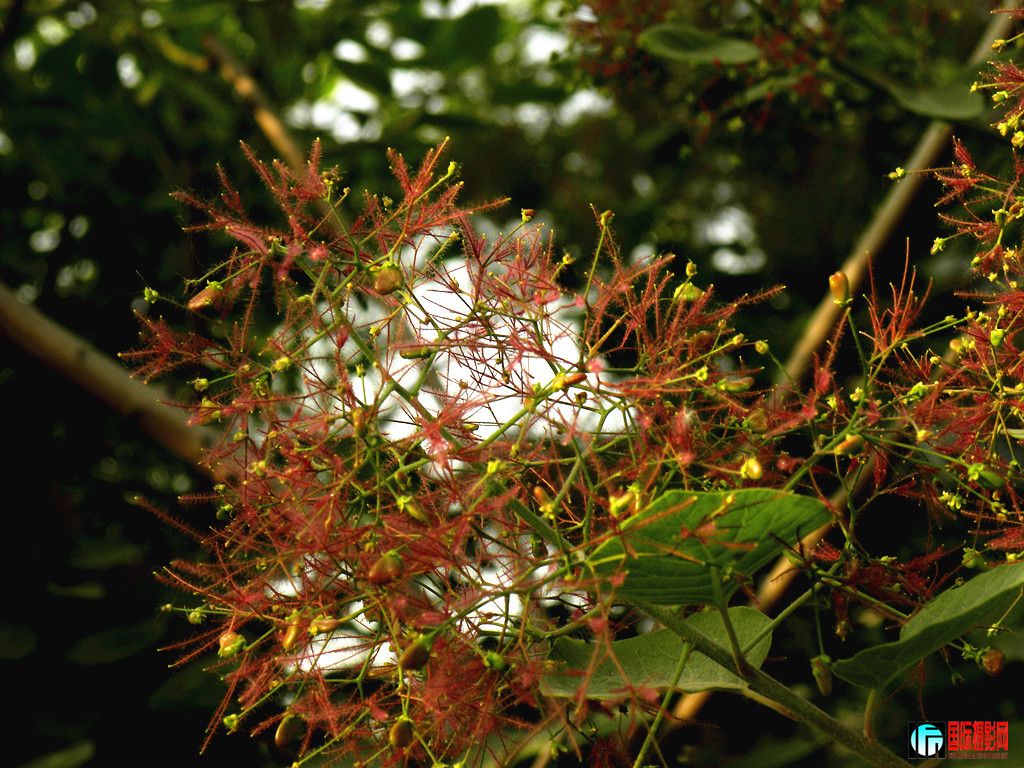 DSCN2555_.jpg