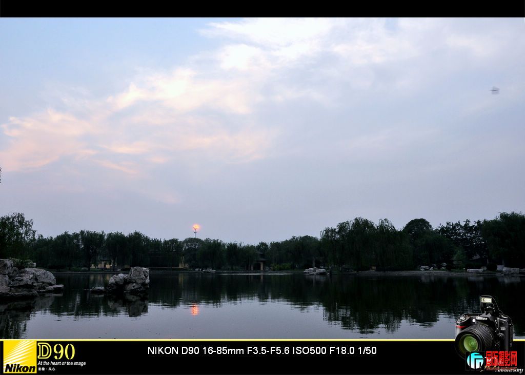 DSC_6328_11964.jpg