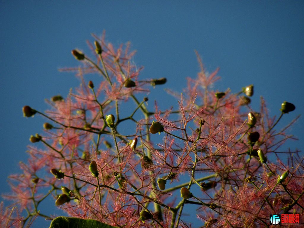 DSCN2686_.jpg