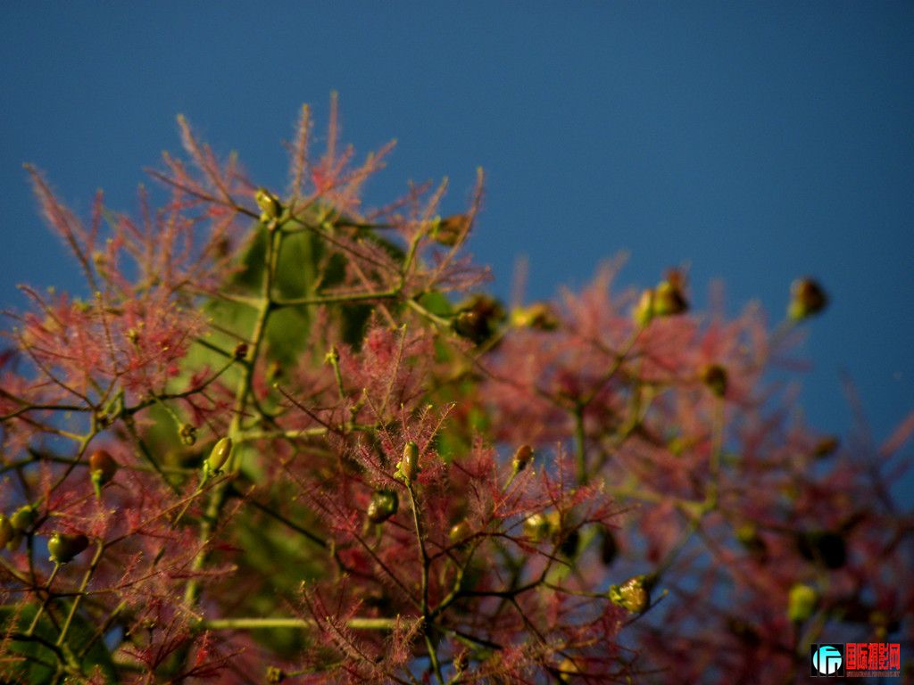 DSCN2685_.jpg