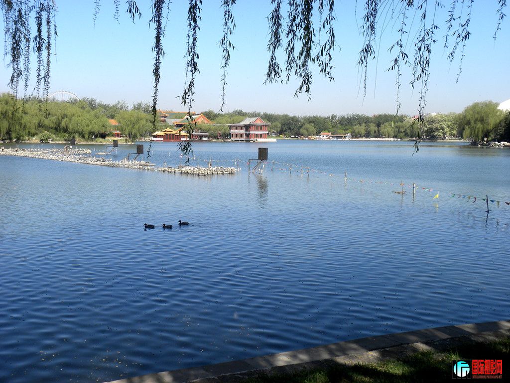 DSCN2884_.jpg