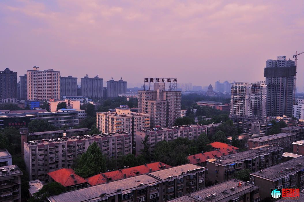 DSC_06.jpg