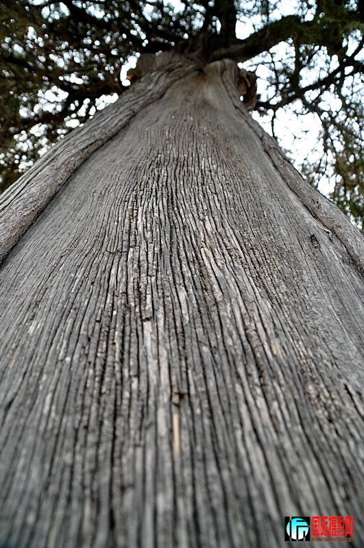 DSC_0079.jpg