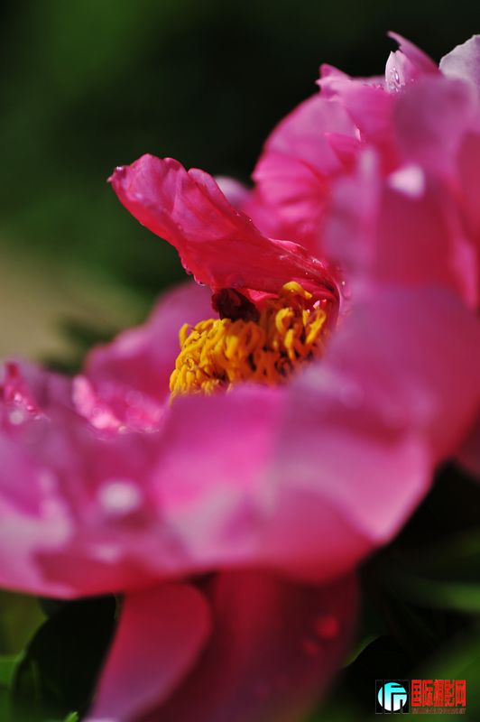  DSC_2374.JPG