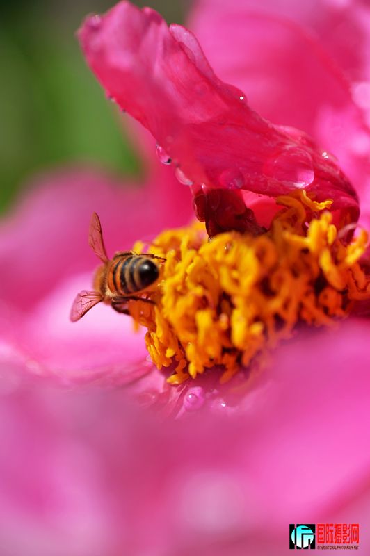  DSC_2354.JPG