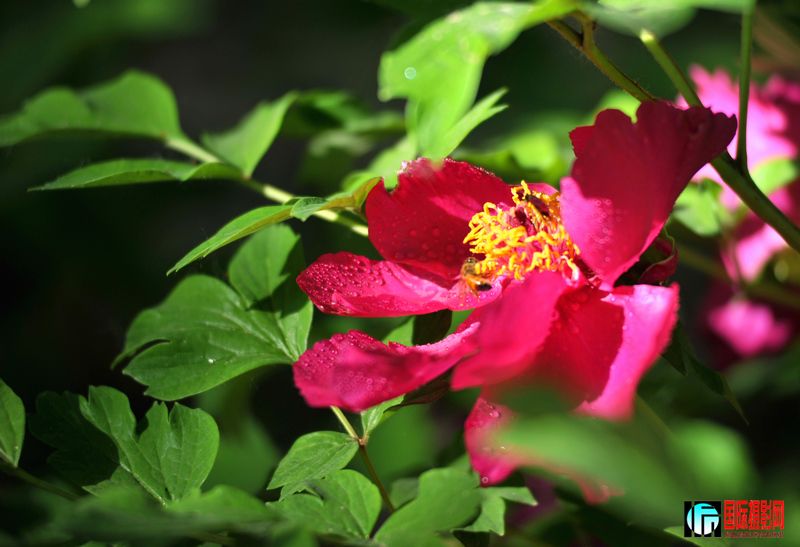  DSC_2260.JPG