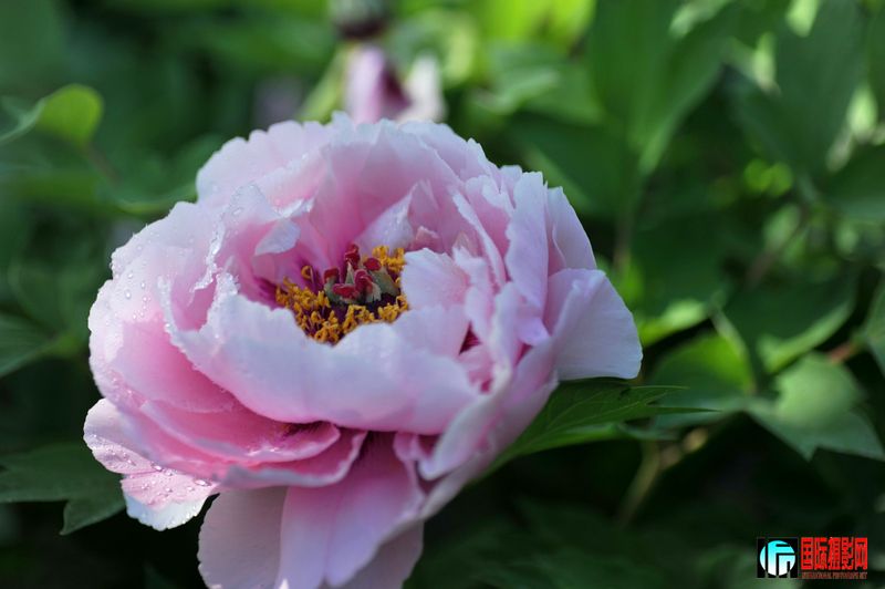 DSC_2315.JPG