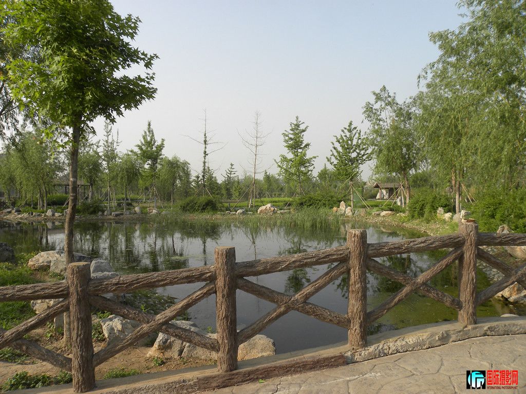 DSCN2970_副本.jpg