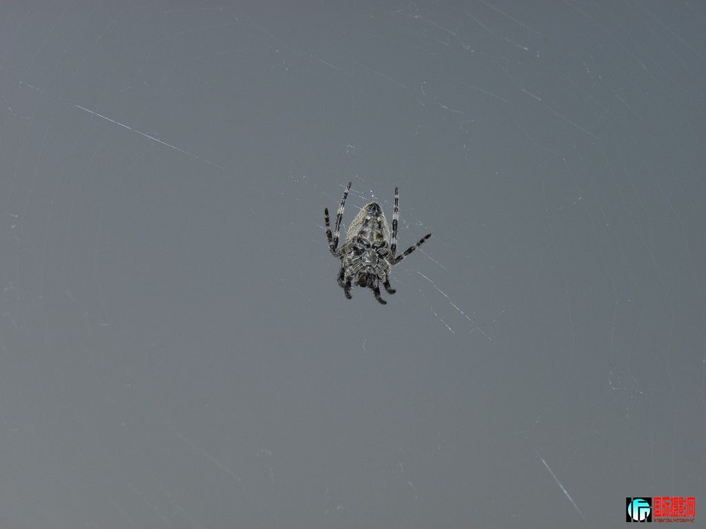 DSCN2982_.jpg