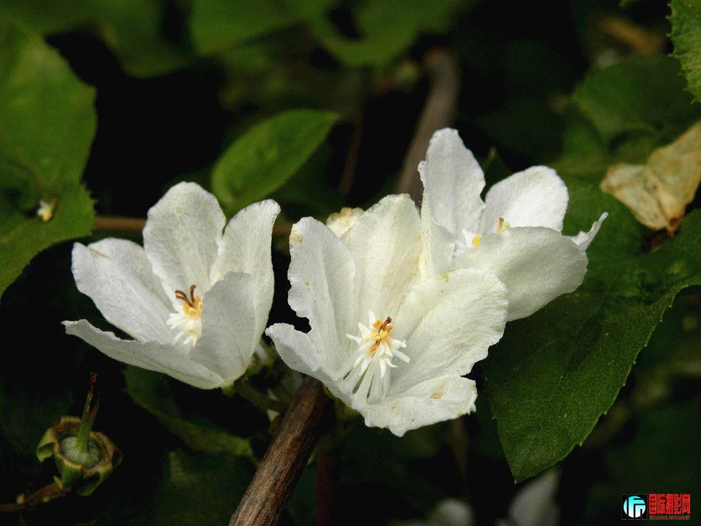 DSCN2905_.jpg