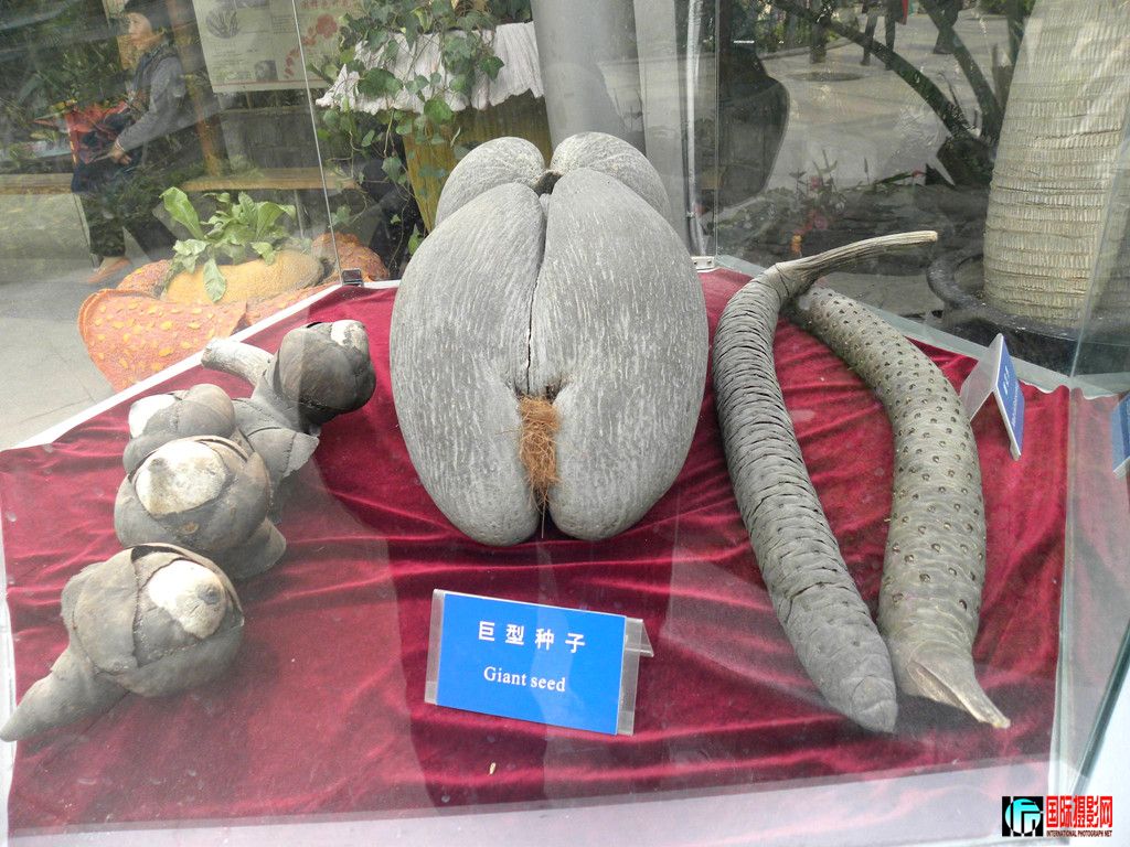 DSCN6478_.jpg