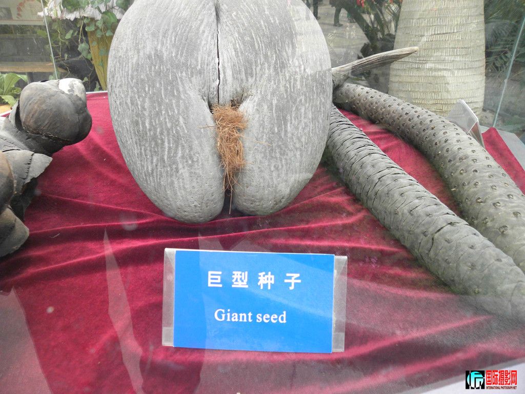 DSCN6479_.jpg