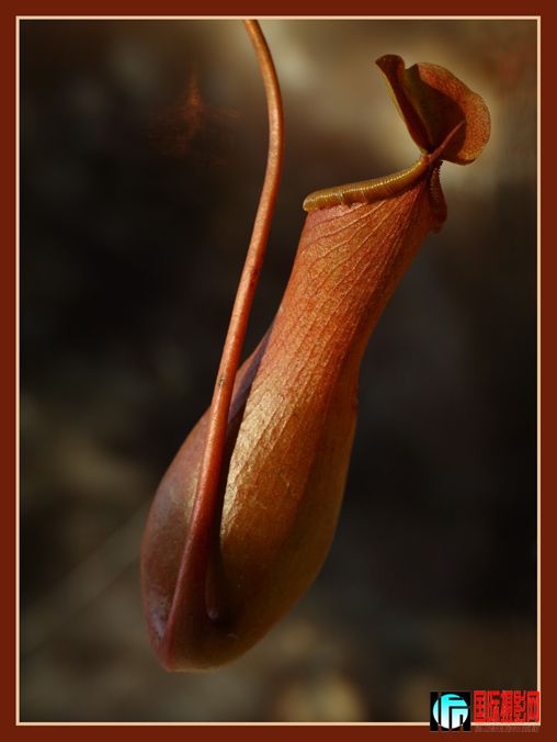 -01