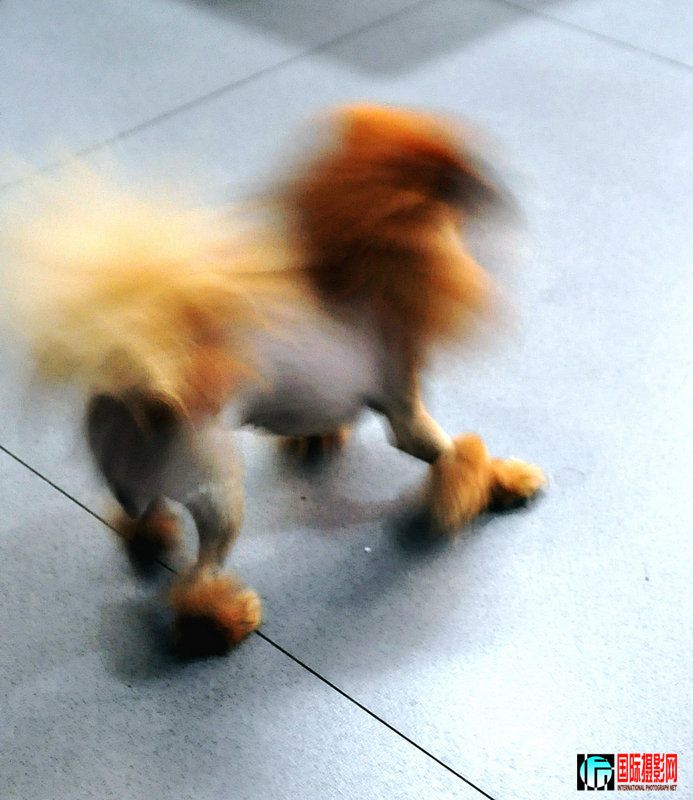 DSC_0273.jpg