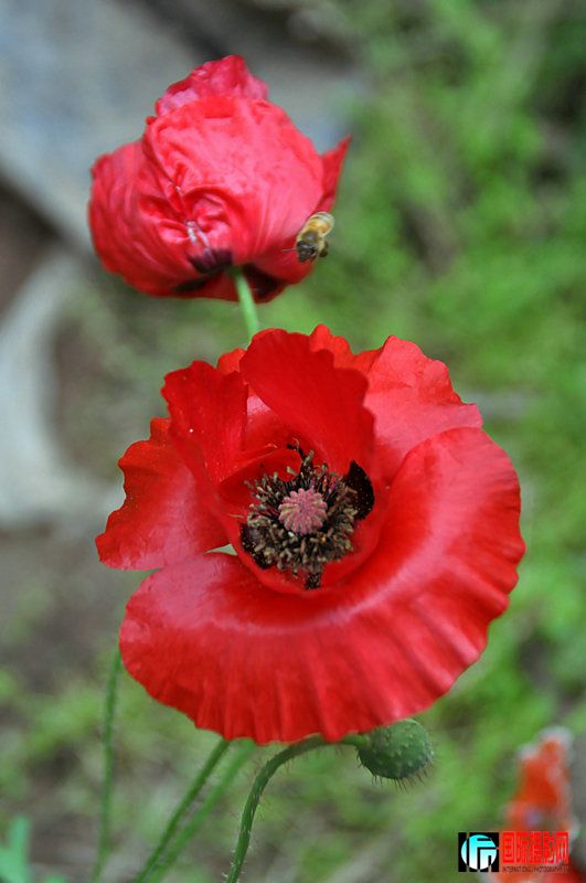DSC_0150.jpg