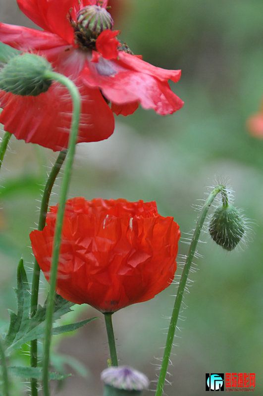 DSC_0175.jpg
