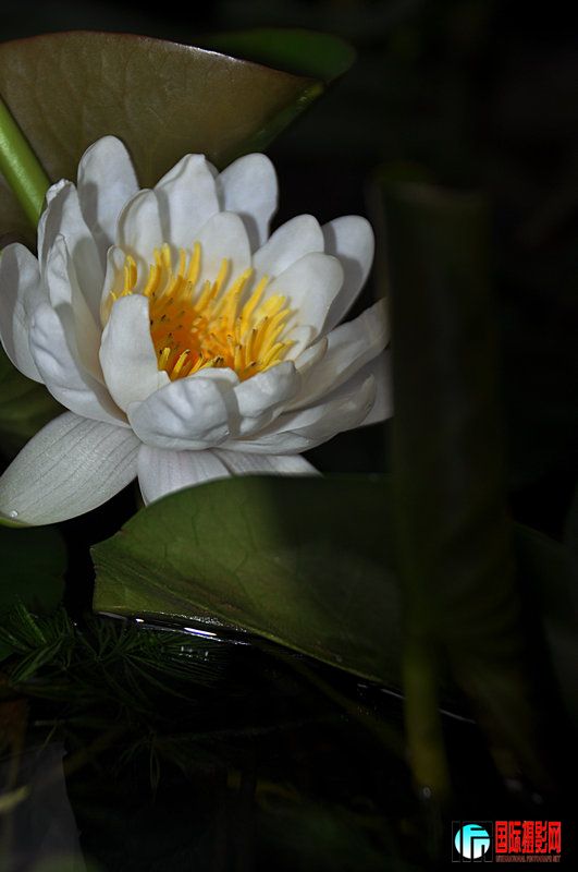 DSC_0098.jpg
