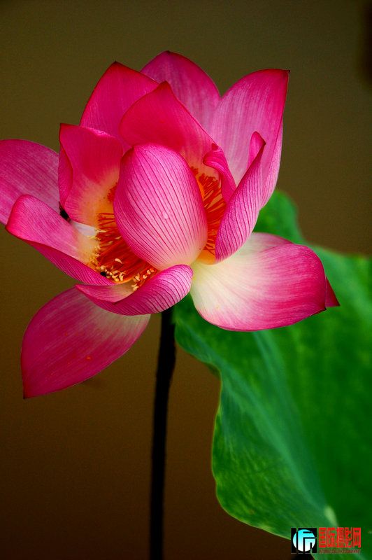 DSC_3953.jpg