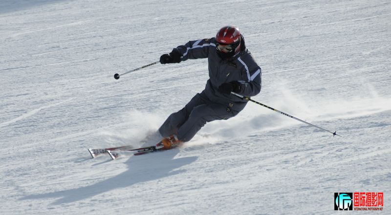 DSC_3517.JPG