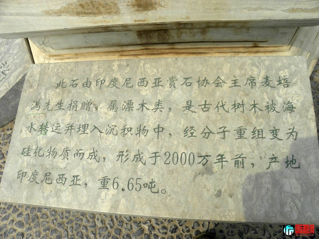 DSCN6342_.jpg
