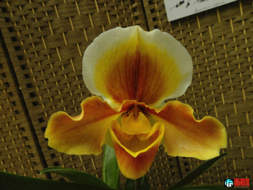 DSCN6384_.jpg