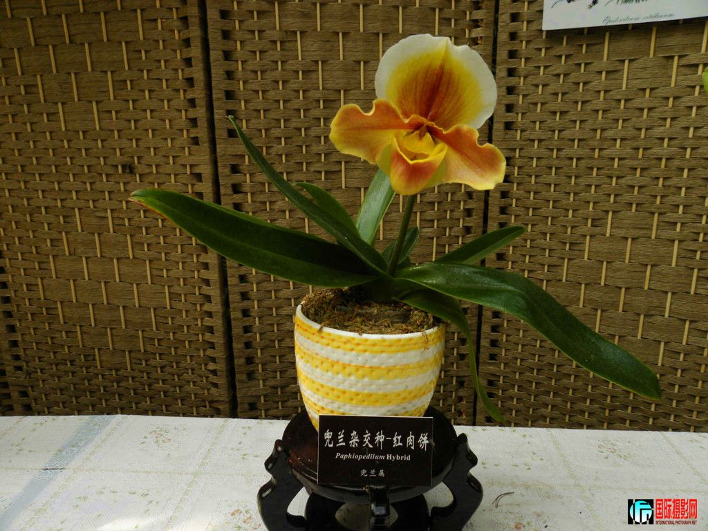 DSCN6383_.jpg
