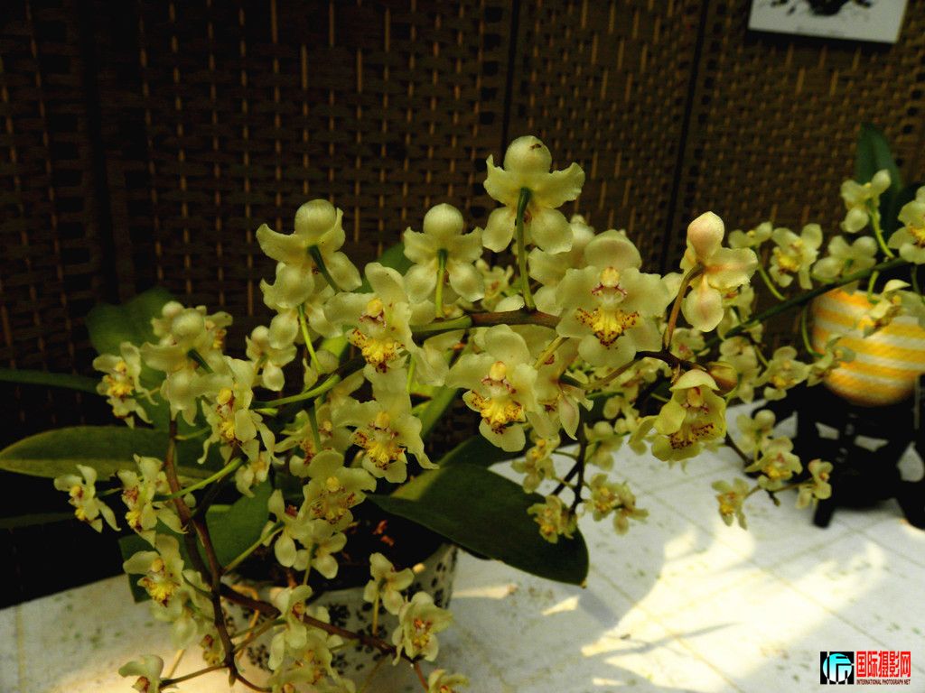 DSCN6382_.jpg