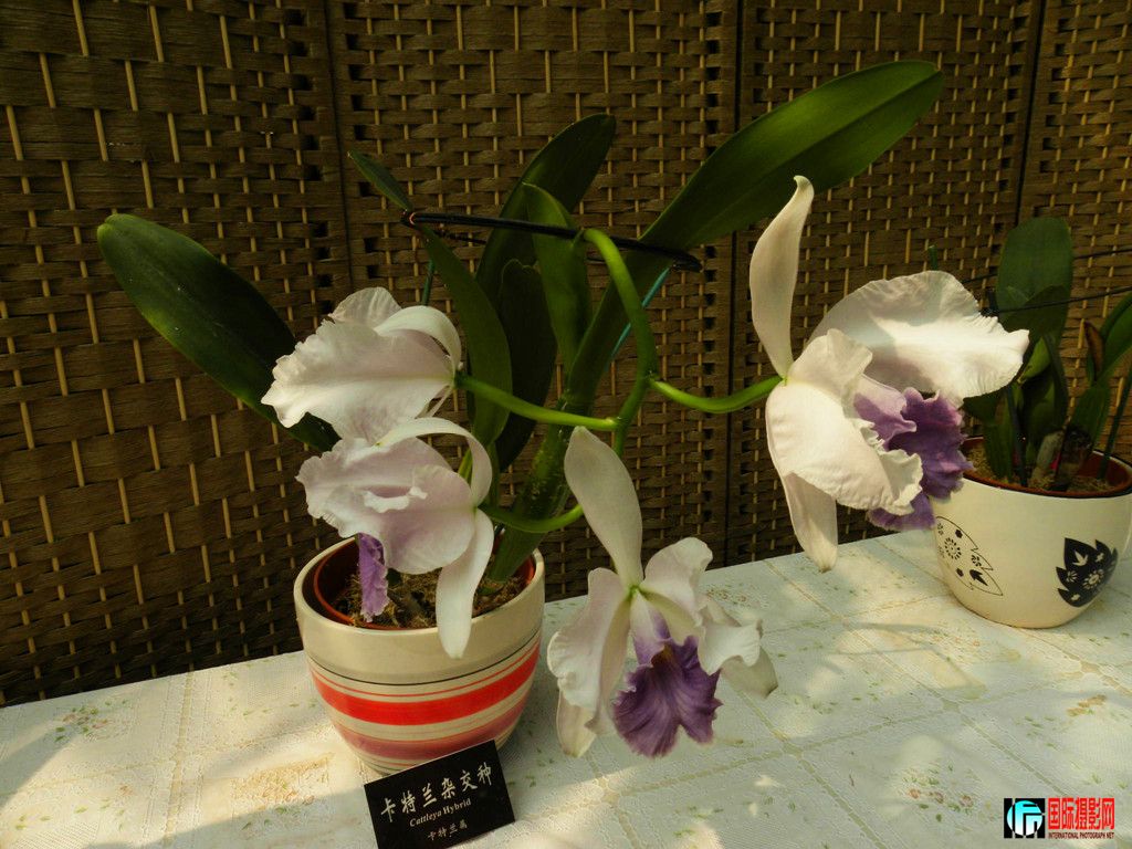 DSCN6388_副本.jpg