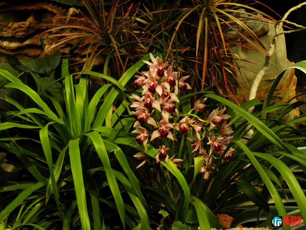 DSCN6389_.jpg