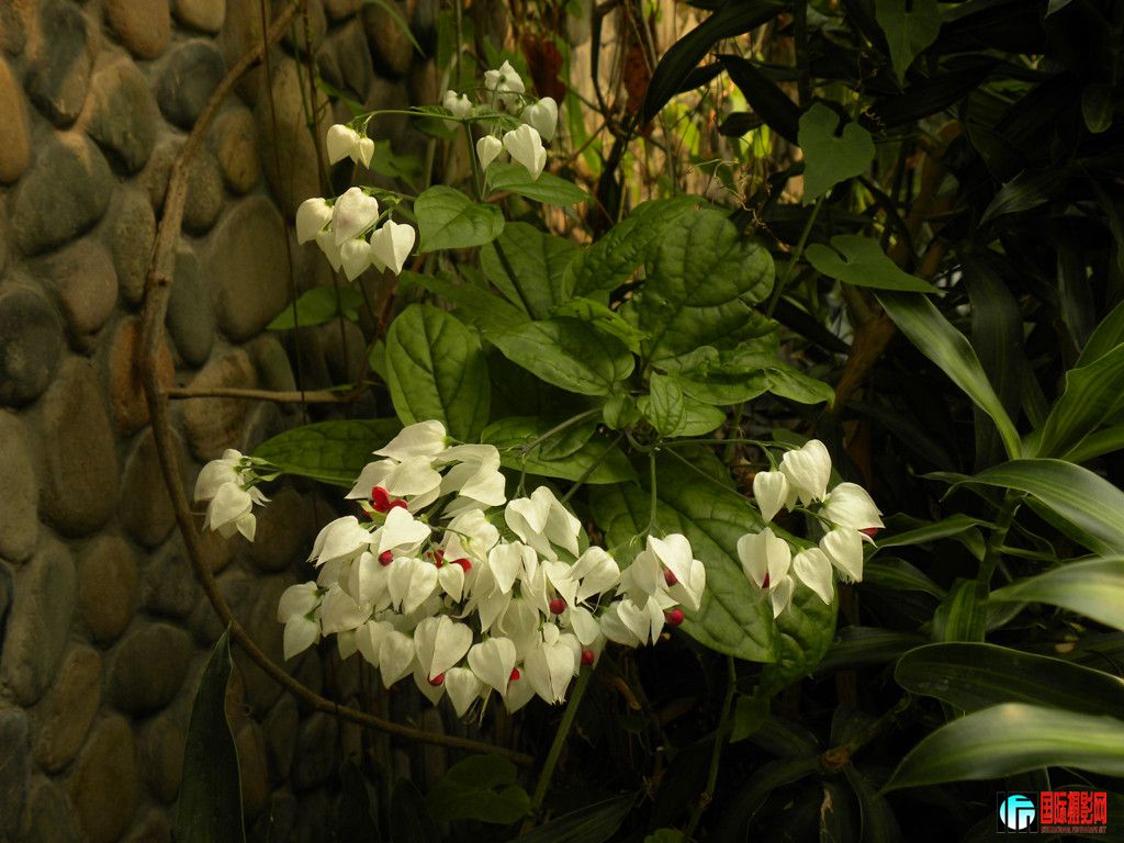 DSCN6449_.jpg