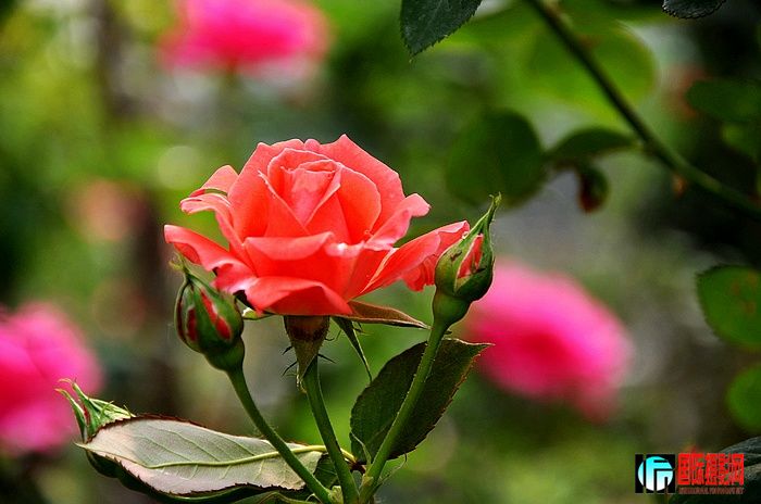DSC_0109.JPG