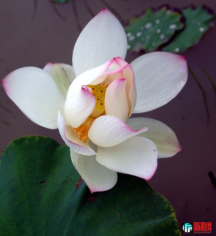 DSC_1147.jpg
