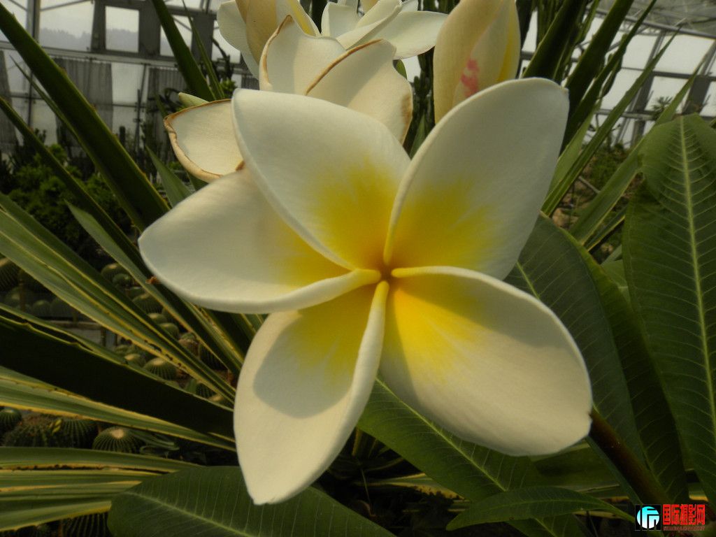 DSCN6466_.jpg