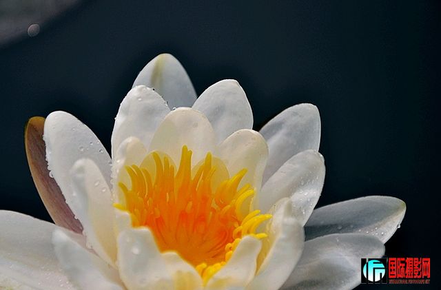 DSC_0134.JPG