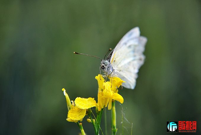 DSC_0139.JPG