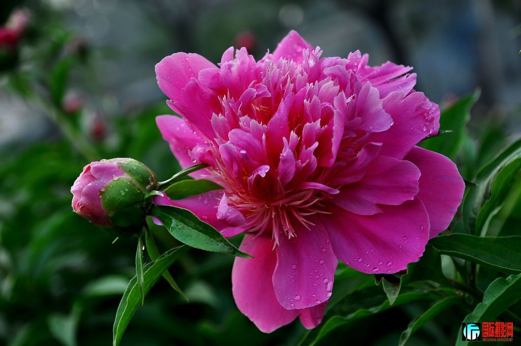 DSC_6283_11936.jpg