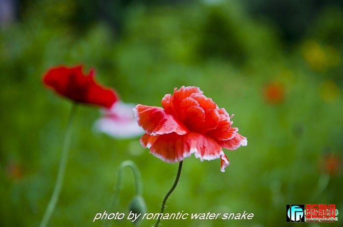 6_71842_331db943266e441.jpg
