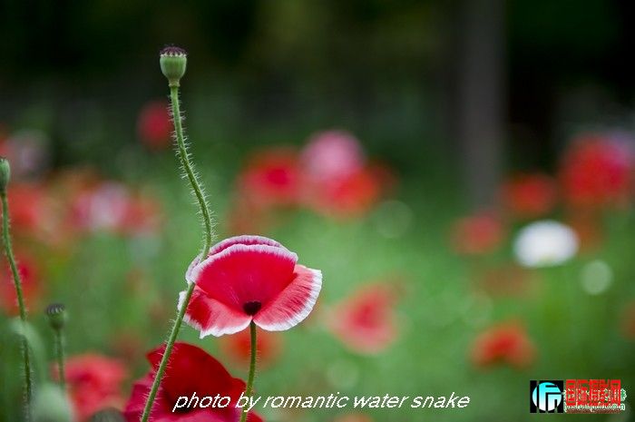 6_71842_798025542d6e158.jpg