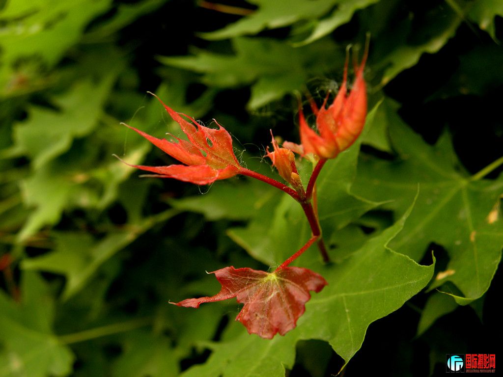DSCN9747_.jpg