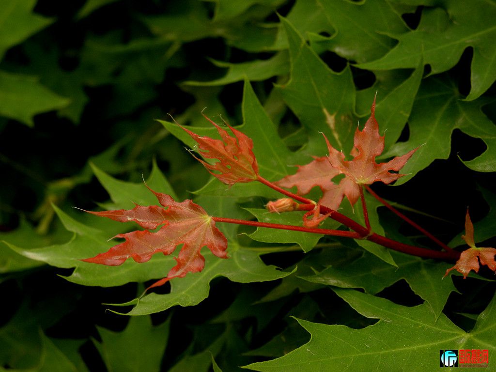 DSCN9742_.jpg