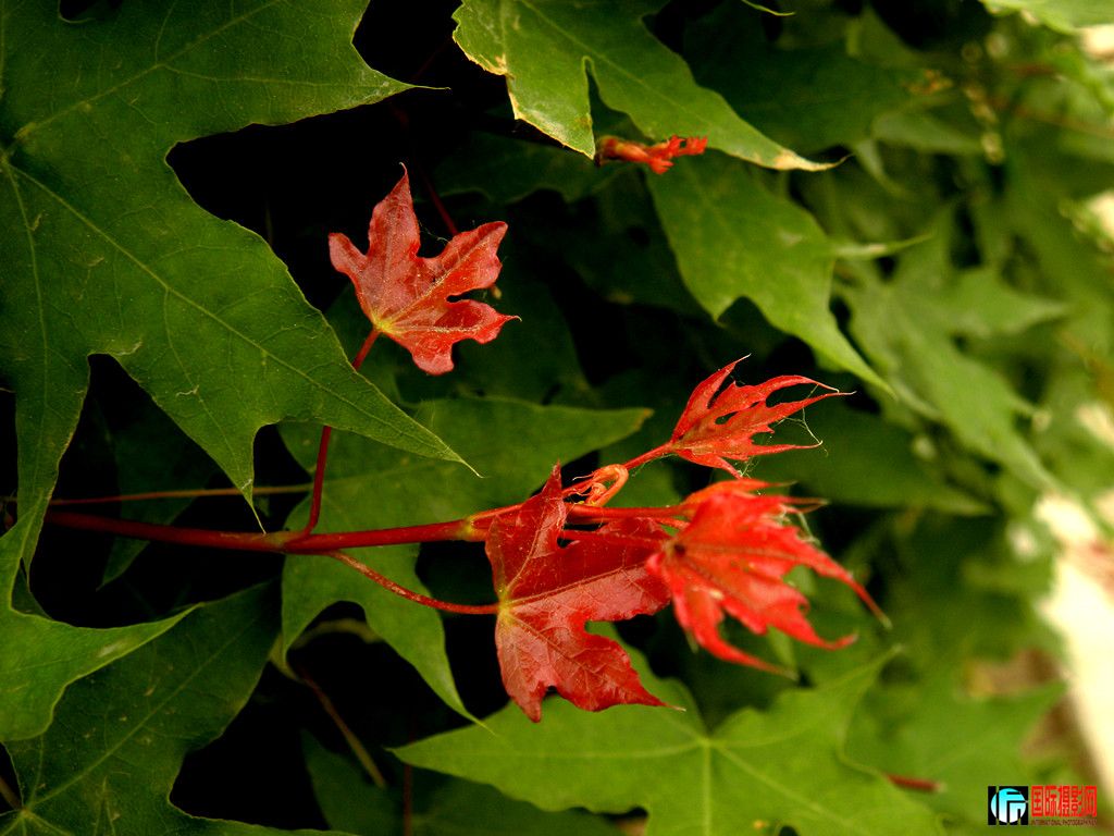 DSCN9753_.jpg