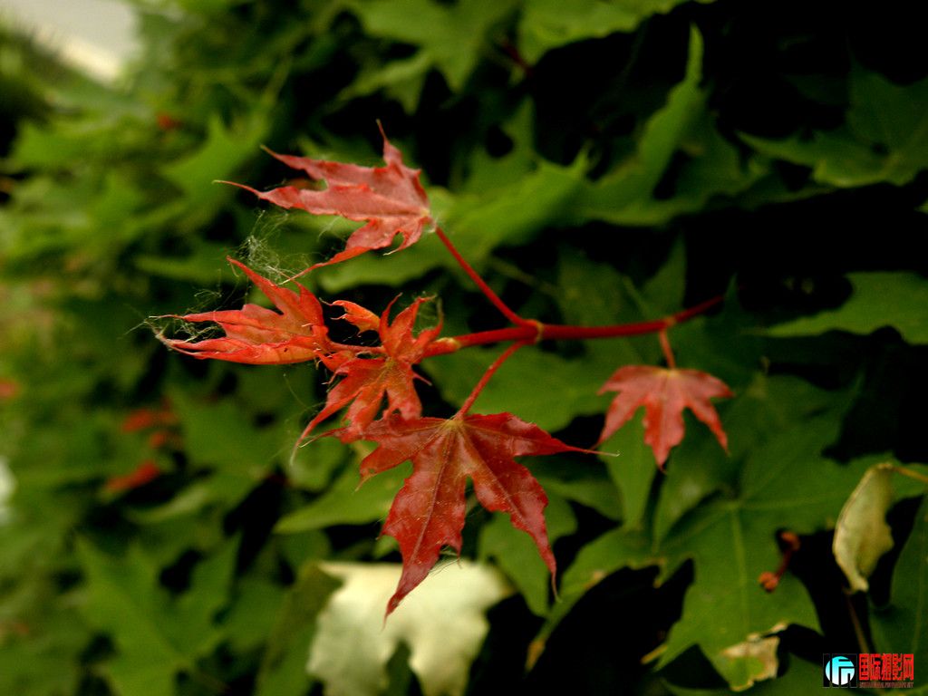DSCN9756_.jpg