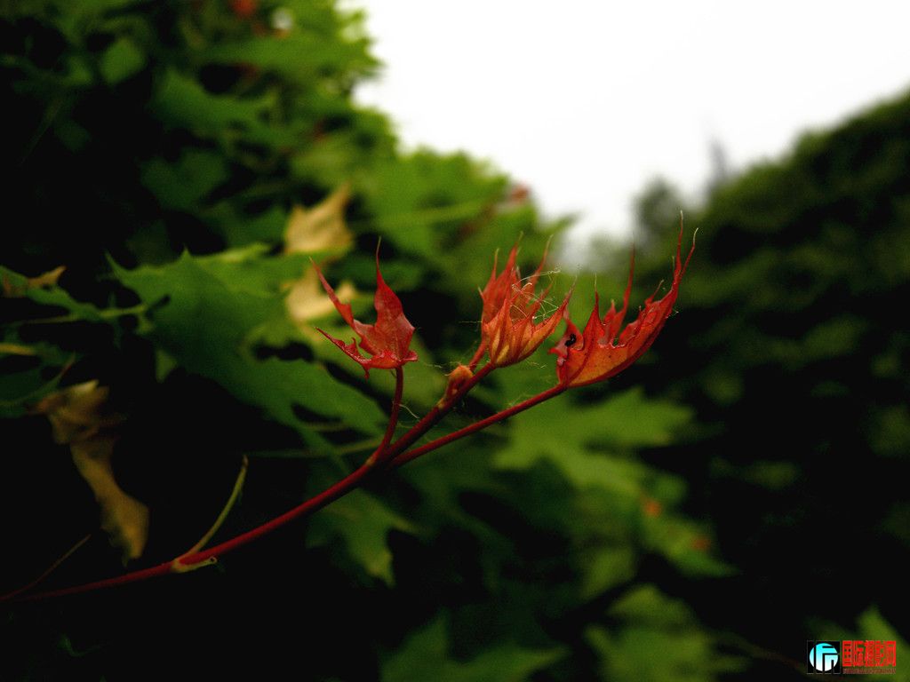 DSCN9746_.jpg