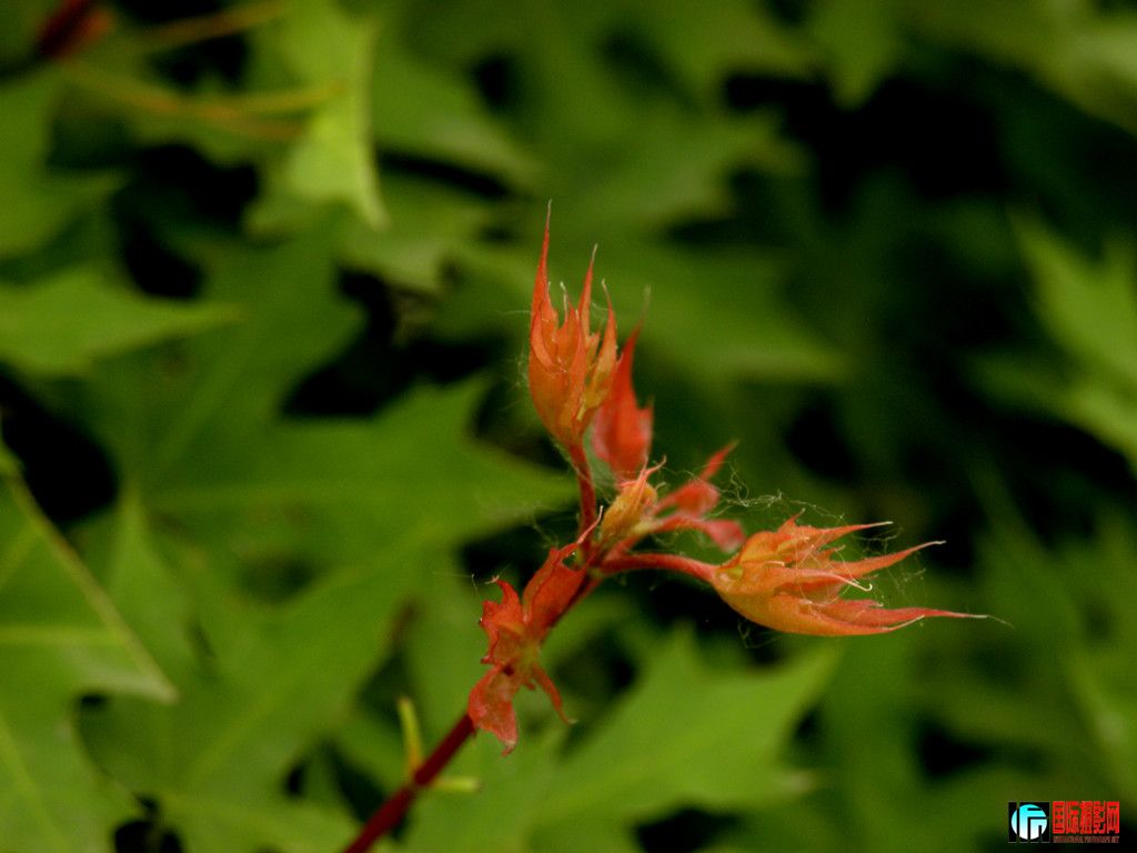DSCN9743_.jpg