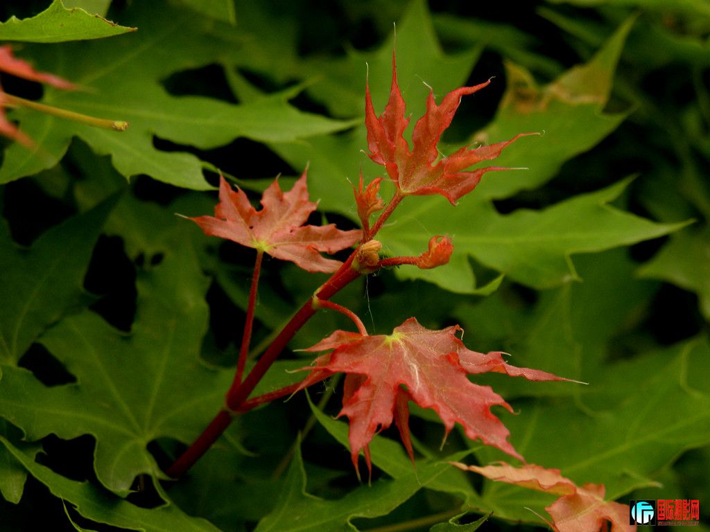 DSCN9744_.jpg