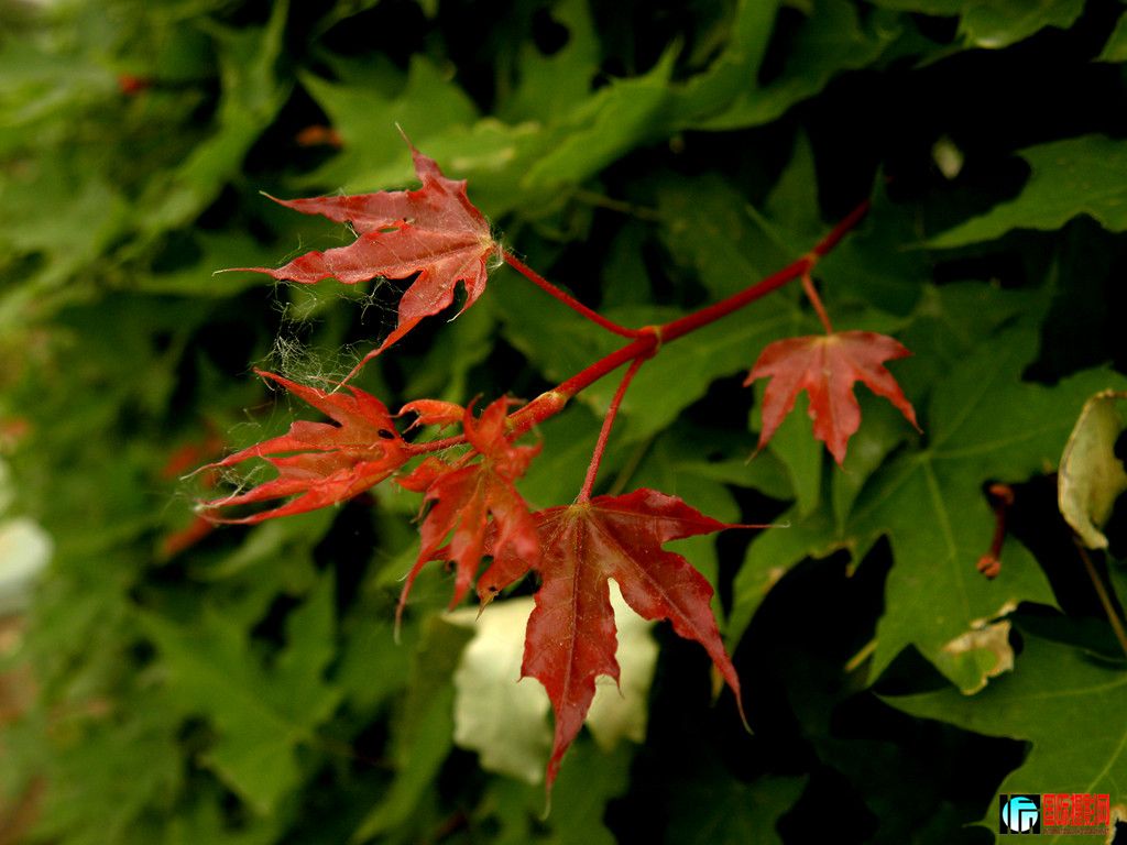 DSCN9751_.jpg